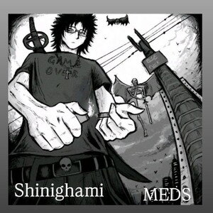 MEDS - user_not_found 
