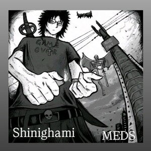 MEDS - invested (slowed)
