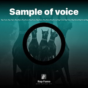 Sample of voice
