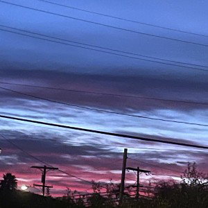 pain