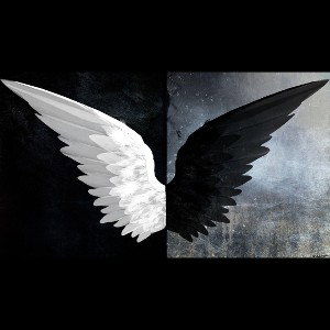 SadRaven. ~ An Angels Wings