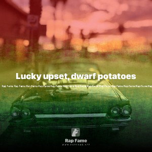Lucky upset, dwarf potatoes