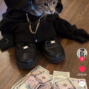 $50 on Cash app