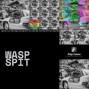 wasp spit 🐝 