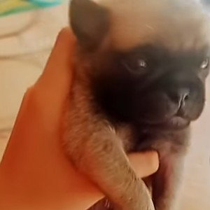 почему не хочется домой