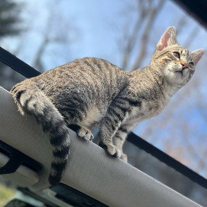 No Matter What, freestyle