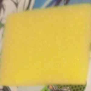 spongebop 