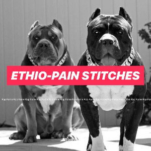 ETHIO-PAIN Stitches 