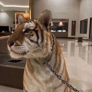 кажется не будет завтра