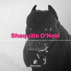 Shaquille O’Neal