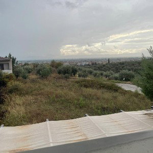 GLX