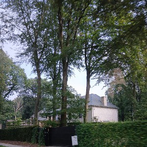 paddenstoel paddenstoel papapapapadenstoel jaja paddenstoel