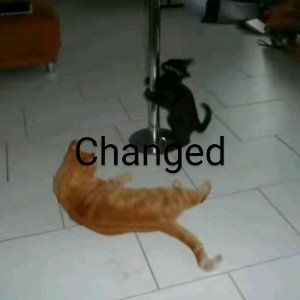 changed/dance