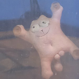 нет и не  .... 