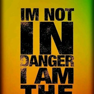 am no in danger 