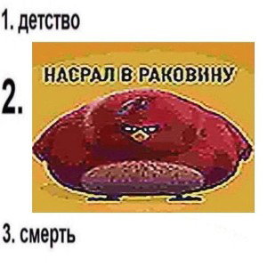 План