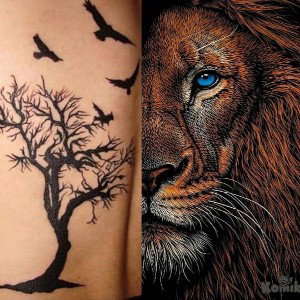 El LEÓN OO x Elowen_Quimbar y quimbar 
