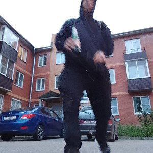 пароалвдывжла