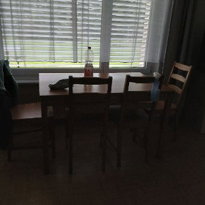 mit der gang