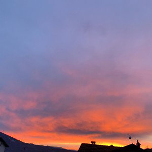 Loop