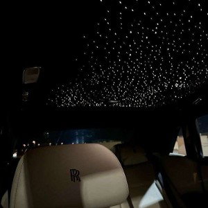 Stars In The Roof 