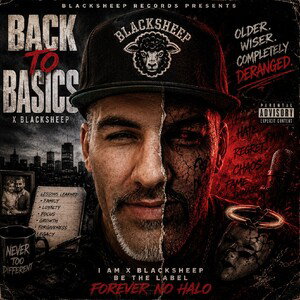 Back To Basics - X Blacksheep 