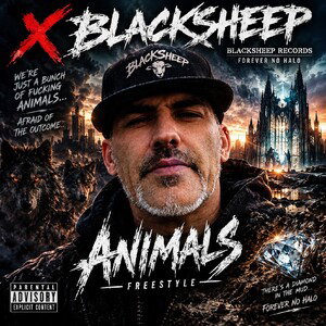 Animals - X Blacksheep 