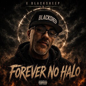 Hard 2 - X Blacksheep 