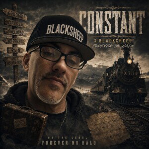 Constant - X Blacksheep 