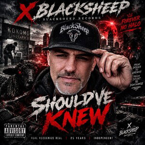 Should've Known  - X Blacksheep 