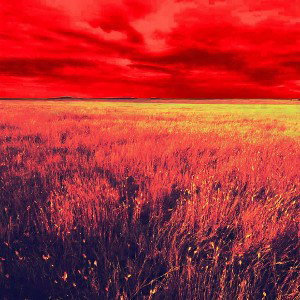 Red Grass - YuNgNuMB (Inspired by LostArie)