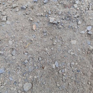 my brother track