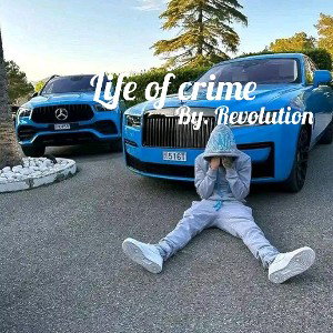 LIFE OF CRIME 