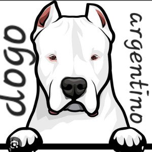 #dogo argentino