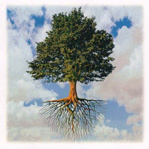 Be A Root!