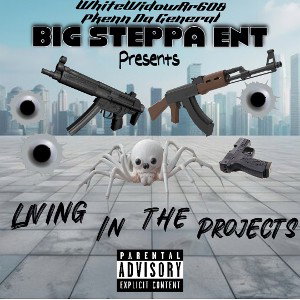 Livin in the Projects