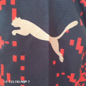 le puma