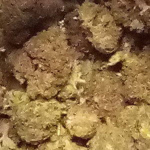 smoke like good weed