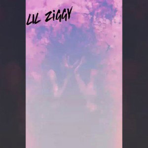 I’m Sorry For My Mistakes By Lil Ziggy