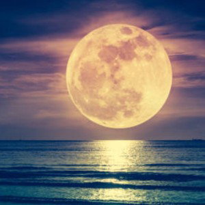 MWaka Moon 