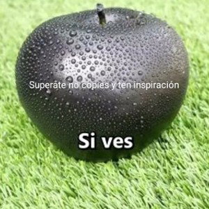 para jiorbis