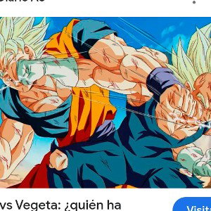 goku vs Veheta