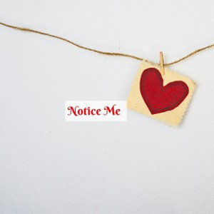 Notice Me 