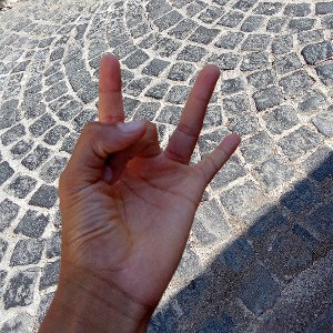L'arte del dissing