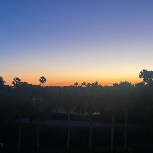 20:15 In Florida 