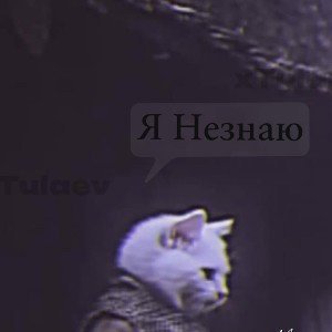 xTulaev -  Я не знаю 