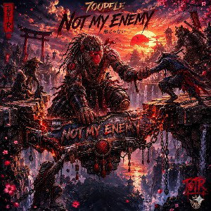 NOT MY ENEMY