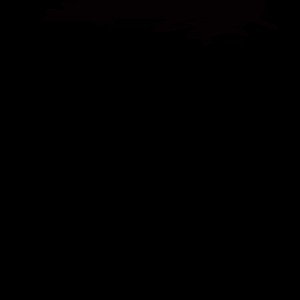 202502131843_mix