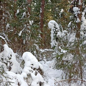 Vers Blanc (Nineteen)