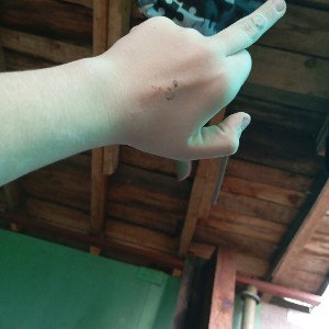 ты опять в говно сука